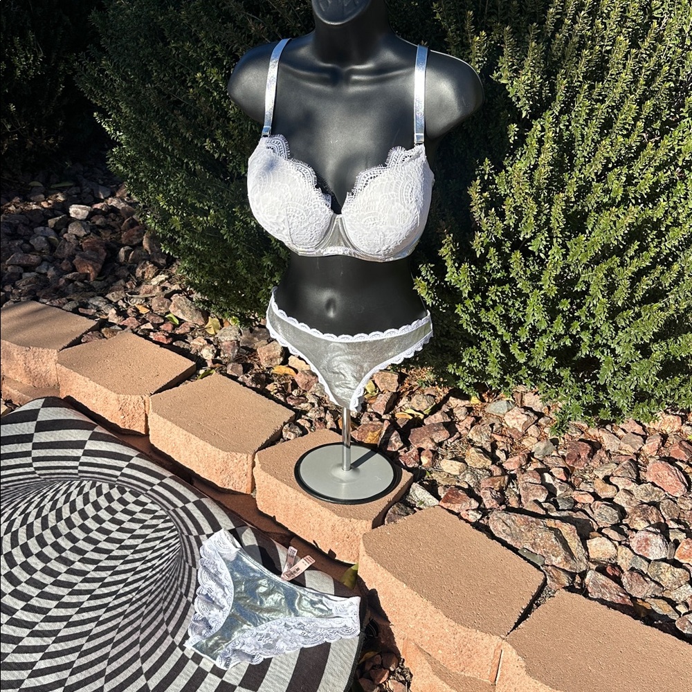 Victoria's Secret Metallic Silver Faux Lather Bra 34DDD+panties S&XS-new w/tags